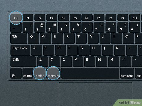 Freeze the screen on a Mac