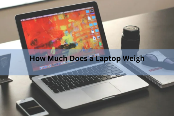 How Much Does a Laptop Weigh? Real Numbers by Type and Size