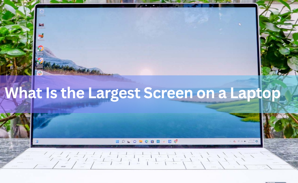What Is the Largest Screen on a Laptop?
